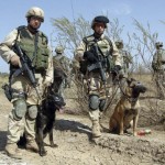 Protective "doggles"