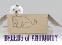 F Breeds of Antiquity F Breeds of Antiquity