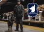 Adopt K9 Cop