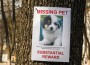 Missing Pets Missing Pets
