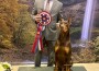 Doberman Pinscher_Starlaine Standing Ovation