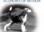 F Economy of Motion