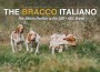 F Bracco Italiano