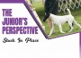 F Juniors Perspective