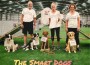 SmartDogs