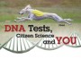 F DNA Tests F DNA Tests