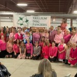 FB_IMG_1667073826750 FB_IMG_1667073826750