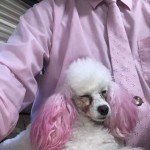 FB_IMG_1667074945078 FB_IMG_1667074945078