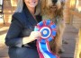 Otterhound