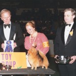 1979 Ch. Lennis’s Tar Lacy Foxfire 1979 Ch. Lennis’s Tar Lacy Foxfire