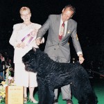 1995 Ch. Aristes Hematite Dragon 1995 Ch. Aristes Hematite Dragon