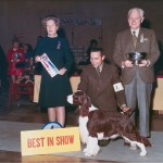 Ch. Chinoe’s Adamant James Ch. Chinoe’s Adamant James