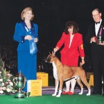 Ch. Hi-Tech’s Arbitrage Ch. Hi-Tech’s Arbitrage