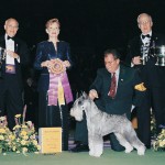 Ch. Parsifal Di Casa Netzer Ch. Parsifal Di Casa Netzer