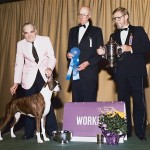 Ch. TuRo’s Cachet group 1 Ch. TuRo’s Cachet group 1