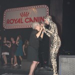 *FAV_IMG_0730 *FAV_IMG_0730