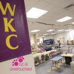 Westminster 2012 Westminster 2012