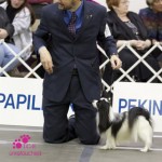 Westminster 2012
