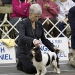 Westminster 2012