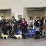 Westminster 2012