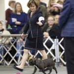 Westminster 2012