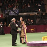 Westminster 2012 Westminster 2012