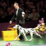 Westminster 2012 Westminster 2012