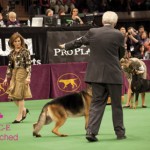 Westminster 2012 Westminster 2012