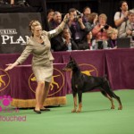 Westminster 2012 Westminster 2012