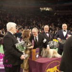 Westminster 2012 Westminster 2012