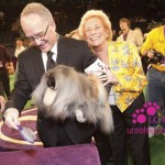 Westminster 2012 Westminster 2012