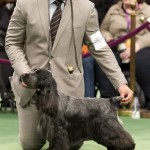 Westminster 2012 Westminster 2012