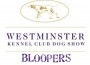 WestminsterBloopers