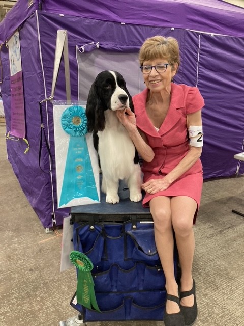 Suncoast N Sapphires Great Scott!