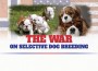 F War Selective Breeding