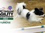 NationalAgility