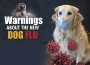 F Warnings Dog Flu