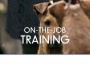 F On The Job Training