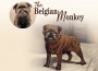 F The Belgian Monkey