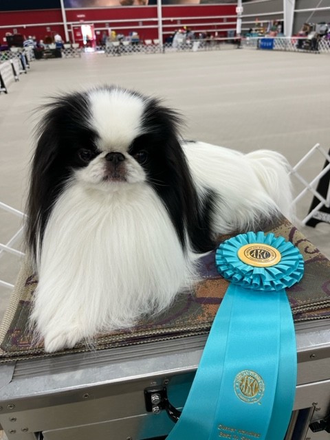 Simpatico Star Spangled Banner