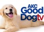 GoodDog