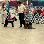 292B8285-8D4F-439F-B9B8-DA01AFE597E0