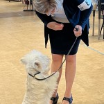 3629FF7A-0977-4080-B0BF-9022038DC837