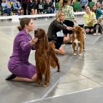 5C6145CB-1F36-4180-800A-5CA0DF375387