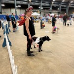 6539106D-2269-4676-833E-8D77125AF698