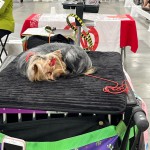 E3C448AB-CD51-4E5D-8917-F0089D0D6E15