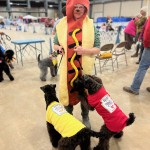 E5CF67AF-D868-45EA-A911-5E08F2D2CB27