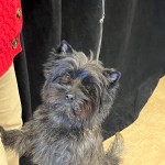 E9D73197-6E45-4682-B071-B27DA50C6779