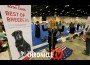 42 Table Talk Live kicking off Day 1 with the Juniors at the 2023 AKC National Championship presented by Royal Canin 42 Table Talk Live kicking off Day 1 with the Juniors at the 2023 AKC National Championship presented by Royal Canin
