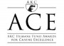 ACE Award